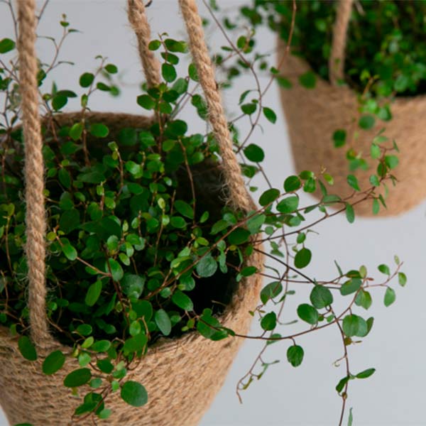 MOUD - JUTE Hængepotte – Natur